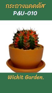 กระถาง PU010 ขนาด 2.5 นิ้ว สีดำ 12 ใบ กระถางกระบองเพชร กระถางปลูกต้นไม้ เนื้อพลาสติกแน่นหนาทนทาน ราคาถูก กระถางแคคตัส กระถางกระบองเพชร