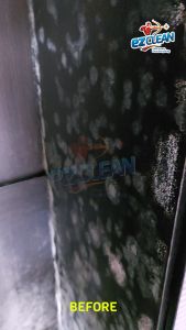 EZCLEAN WOODEN CLEANER PENGHILANG NODA KAYU PEMBERSIH JAMUR LEMARI WITH CONDITIONER PEMBERSIH PLITUR KAYU RAK BUFFET PLYWOOD