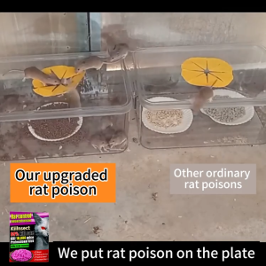 🐁No rats within 50kilometers 🐁 Rat killer poison Rat lure that mice like to eat Pellet ​trap Rat Repellant for Home Rat Poison Lason sa Daga Rat Killer for Home Rat Poison Killer Mouse Repellent Mouse Killer Lason sa Daga sa Bahay Pamatay pest control