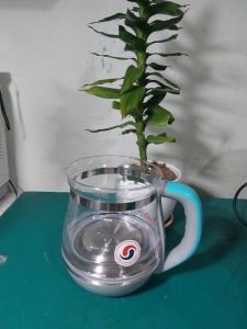Bán Ấm Đun Trà Daewoo DEK-MA980( không nắp )Màu hồng rất đẹp.Chất liệu INox 304 tốt cho sức khỏe- Phụ kiện rời chính hãng Daewoo.