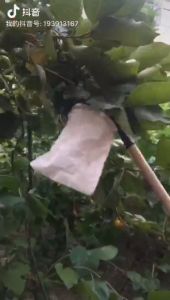 BOSSLU Alat Pemetik Buah Metal Fruit Picker Alat Bantu Petik Buah Uk 16CM