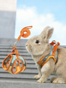 VOA | Escape-Proof Adjustable Rabbit Leash