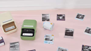 NIIMBOT B21 Pro Upgraded Label Maker 300DPI Fun APP Portable Label Printer Bluetooth Sticker Printer for OrganizationPriceLogoScrapbook