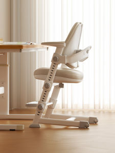 MEIHAOTONGNIAN | Adjustable Correct Posture Student Chair