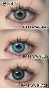 【Power 0.00~-8.00】1Pair Gray Brown Contact Lens Yearly Used With Solution 60ml and Contact Lens Case