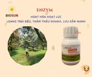 Chế phẩm sinh học Enzym chất bám dính sinh học Biosun hoạt hóa hoạt lực chống kháng thuốc cây