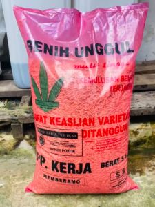 terlaris!! Benih Padi unggul kemasan 5kg dari PP.KERJA Varietas Padi Ir 64 Ciherang Paket Benih Padi Terlaris - Lazada