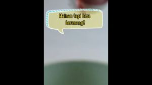 Mainan Mandi Bayi Bentuk DOLPHIN Berputar Di Kolam Berenang