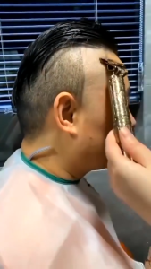 Alat Cukur Rambut & Jenggot Elektrik: Profesional Hair Clipper Vintage