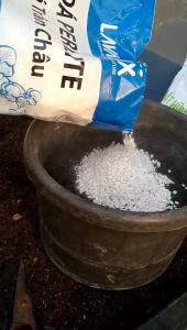 Đá Perlite - Đá Trên Châu Lavamix Bịch 5dm3 trồng sen đá rau mầm làm xốp đất