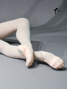 Elastic Fabric Dance Shoes Mens Soft Bottom Practice Ballet Shoes Cat Claw Shape Adult Physique Training Shoes