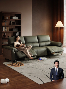 Electric Leather Sofa 30798