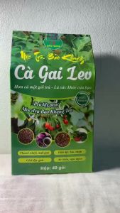 Hộp 40 gói trà túi lọc cà gai leo trà cà gai leo Bảo Khang nguyên chất giúp hạ men gan gan nhiễm mỡ thanh lọc giải độc gan