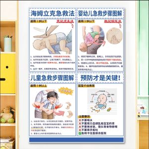 Hình Ảnh Sơ Cứu Héimlík Từ Tính Gắn Vào Tủ Lạnh Bảng Thông Báo an Toàn Sơ Sinh Trẻ Em Từ 1 Tuổi Trở Lên Đồ Chơi Giáo Dục