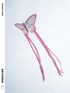 Butterfly Wedding Character Kite Couple Marriage Certificate Application Photography Props Wedding Room Decoration