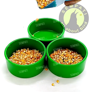 SEMPATI GROSIR Tm Cepuk Emboss Ukir Merpati Isi 20 Pcs Tm Merpati Wadah Tempat Makan Minum Burung Merpati Lomba Kolong Pos Tomprang Dara Tm Fiber Plastik Anti Pecah