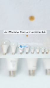 (Rạng Đông) Bóng đèn Led Bulb tròn 3W 5W 7W 9W 12W 15W 20W 30W Ánh sáng Trắng 6500K Vàng 3000K