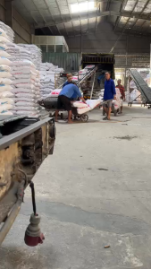 Gạo Nhật Japonica Thiên Long Rice 5kg - Dẻo nhiều mềm ngon - Gạo nấu SuShi  gạo cho Cơm Trộn - Cơm Thường