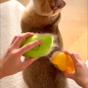 Sikat Sisir Kucing Anjing Silikon Mandi Pijat Pembersih Badan Hewan Peliharaan Silicon Grooming Pet