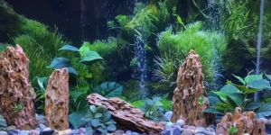Aquarium Dragon stones Natural Aquascaping stone rocks for aquarium fish tank landscaping decoration