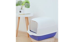 ห้องน้ำแมว กระบะทรายแมว กะบะทรายแมว กระบะทราย ถาดทรายแมว กะบะทรายแมวโต กระบะแมว กะบะทรายแมวใหญ มีหูหิ้วและช่องใส่คาร์บอน