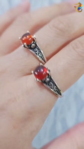 Collection Grade Orange Spessartite Garnet Titanium Adjustable Rings (3 Designs)