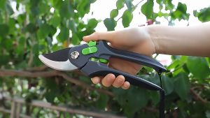 Pruning Shears AIRAJ 1023 - Gunting Taman Dahan Ranting Tanaman