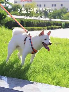 No Pull Dog Harness X Back Design Front D Ring Adjustable Pet Vest For Outdoor Walking