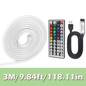 5V USB Neon LED Strip Light Waterproof 2835SMD RGB 60LEDs/m Flexible Neon Rope with Remote Control for Bedroom Decor