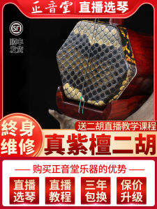 Professional Erhu Instrument for Students Exam Grade Small Leaf Purple Sandalwood Professional Performance Student