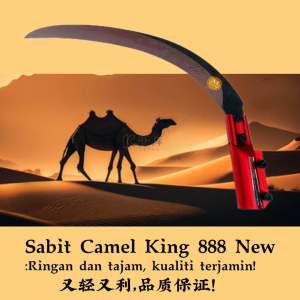 Super camel king 888 New