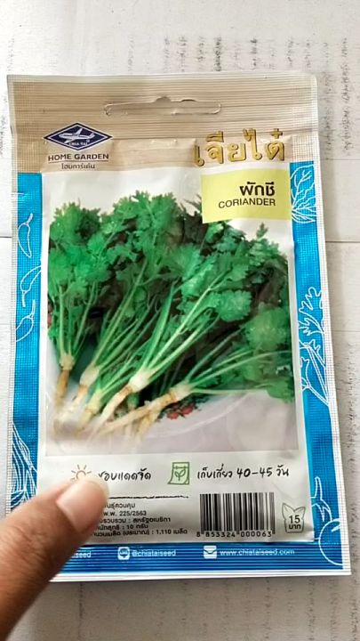 เมล็ดพันธุ์ผักชี เจียไต๋ 1,110 เมล็ด งอกดี โตเร็ว