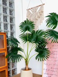 99% ความจำลอง ต้นไม้มงคลปลอม 75cm/12ใบ ฟรี ต้นไม้ปลอม ต้นไม้ปลอม ต้นไม้ปลอมตกแต่งบ้าน, ต้นไม้ตกแต่งบ้าน, ต้นไม้ปลอมสวยๆ, ต้นไม้ปลอมใหญ่, ต้นไม้เทียม, ต้นไม้แต่งห้อง ต้นไม้มงคลสวย คุณค่าถูกต้อง สำหรับผู้ชายที่ต้องการเพิ่มความผสมในฐานะกาย