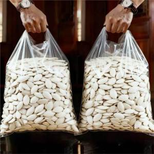 Full Salty Fragrant Freshly Roasted Pumpkin Seeds