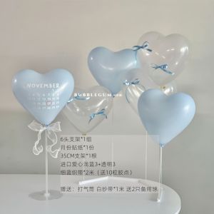 Retro Ballet Birthday Scene Decoration Baby Chair Decor Pull Flag Background Dreamy Atmosphere Goose First Year Celebration