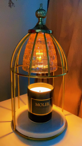 🇸🇬 [SG Seller  & Local Stock ] Light Bulb for Candle Warmer (220V) and perfect for wax melting.