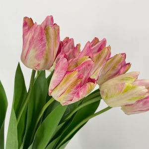 Đơn Lẻ Hạt Giống Tulip Hồng Hồng Phụ Kiện Trang Trí Đám Cưới Phòng Khách Quần Áo Chụp Ảnh Cây Giả Hoa Lụa Cỏ Lá