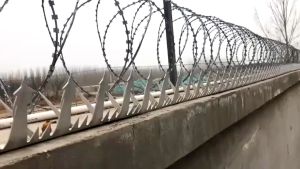 Woodify shops Original Middle-1.25meter stainless steel Galvanized large metal anti climb wall roof spikes Villa Yard fences cats animal security