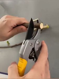 Daywalkers กรรไกร กรรไกรตัดกิ่งไม้SK5 กรรไกรแต่งกิ่ง กรรไกรสแตนเลส กรรไกรสำหรับตัดแต่งกิ่งไม้ ดอกไม้ เครื่องมือจัดทำสวน