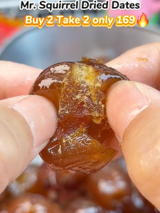 Mr.Squirrel 400g Dates Fruit From Saudi Snacks Seedless Candied Dates Soft Jujube