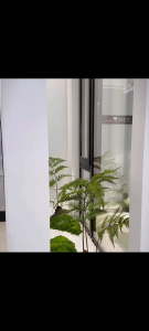 ⭐PTERIS FERN⭐ Artificial Plant Decor Tree Indoor Plant Decoration Plant Home Decor Office Plant Lobby Plant Decoration Artificial Greenery Indoor Tree Artificial Plant Decoration Indoor Plant Decor for Home Office Hotel Lobby Interior Decoration
