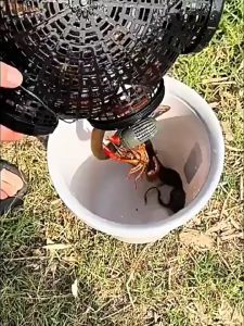 กรงตาข่ายดักกุ้ง กรงดักปู กรงดักปลา ปลาไหล กรงสำหลับดักปลา ปลาไหลตกปลากรงอัพเกรดพลาสติกกับดักกุ ้ งพลาสติก 3/6/8 รู หลุมจับ ปลาผสมเฉพาะปลา Loach Lobster