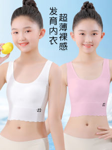 เสื้อชั้นในเด็กผู้หญิง ผ้าฝ้ายแท้ เสื้อกั๊กเด็กโต ช่วงการเจริญเติบโต นักเรียนมัธยมต้น เสื้อชั้นในเด็กวัยรุ่น 10 ปี เสื้อชั้นในเด็กวัย 12 ปี