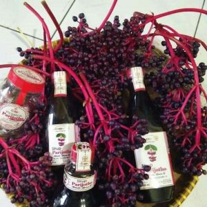 Paket hemat Sirup parijoto 3500ml original+buah+tespeck untuk promil alami