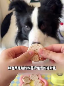 ZHUCHONG | Freeze-Dried Chicken Krill Pet Snack