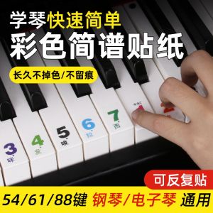 88 Key 61 Key 54 Key Kids Beginner Adult Piano Electronic Keyboard Simple Score Tone Keyboard Transparent Sticker