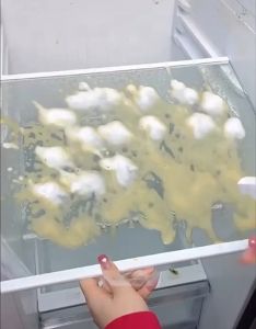 เคลื่อนที่ตู้เย็น น้ำยาล้างตู้เย็น ประสบการของทำความสะอาด ดับกลิ่น ลดแบคทีเรีย