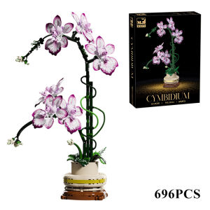 Creative Orchid Cymbidium Eternal Flowers Potted Plant Building Blocks Simulation Phalaenopsis DIY Bricks Toys Valentines Gift