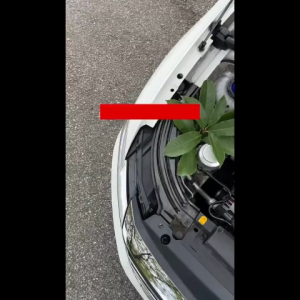 450ml Car Window Lubricant Spray Portable Car Window Lubricant Suitable For Problems Such As Car Window Aging Effective Lubrication Noise Elimination Natural And Environmentally Friendly Prevent Aging