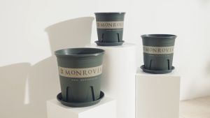 Đĩa lót chậu MONROVIA Dòng M-series chậu nhựa trồng cây chậu cây cảnh mini để bàn treo ban công treo tường cao cấp chính hãng thương hiệu MONROVIA